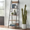 65" Denton Ladder 5 Tier Shelf Walnut/Black - Buylateral -My Book Perch Sales Store unnamed file 2671